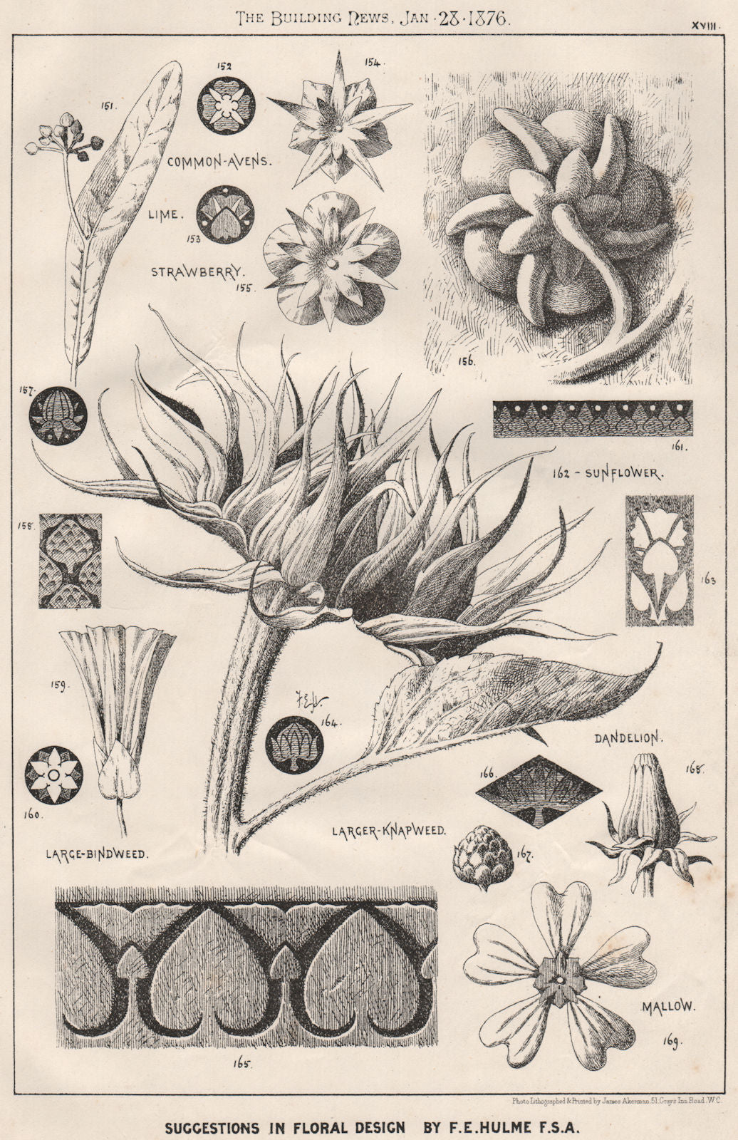 Suggestions in Floral; Design by F.E. Hulme F.S.A.. Decorative (16) 1876 print